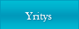 Yritys